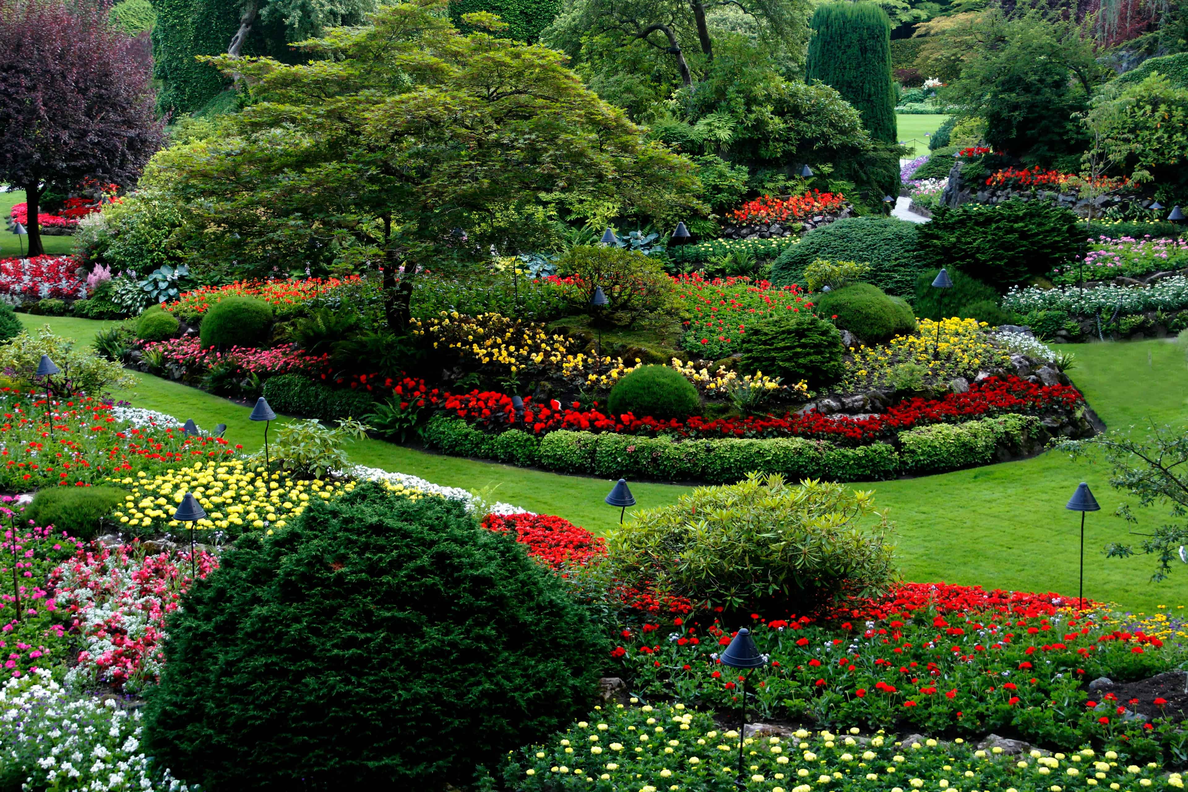 Landscaping image