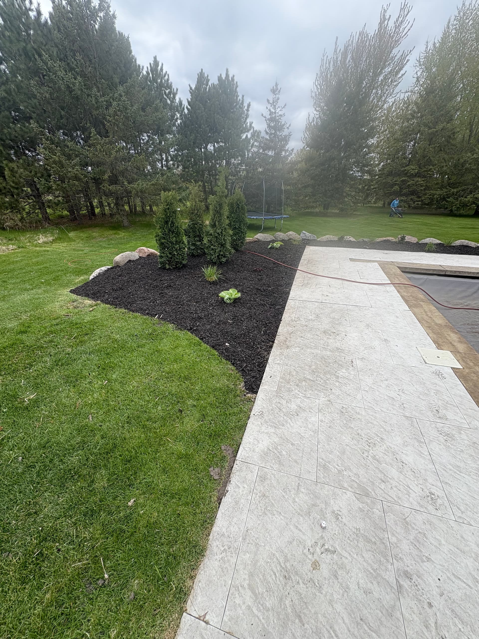 Gallery photos for Pool Area Landscape Redesign with New Plantings and Black Mulch: Image #5