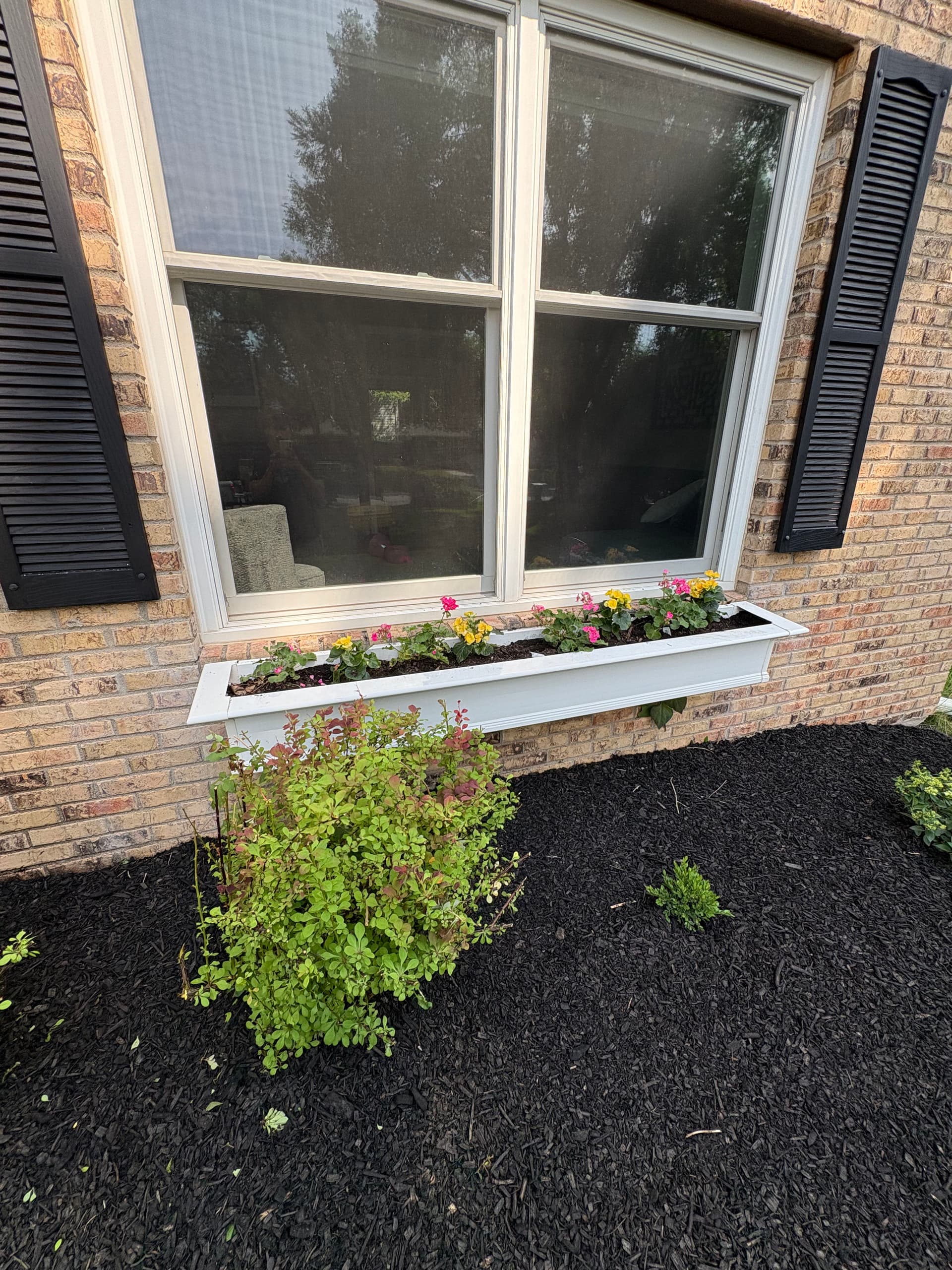Gallery photos for Fresh Mulch and New Plantings That Actually Boost Curb Appeal: Image #4