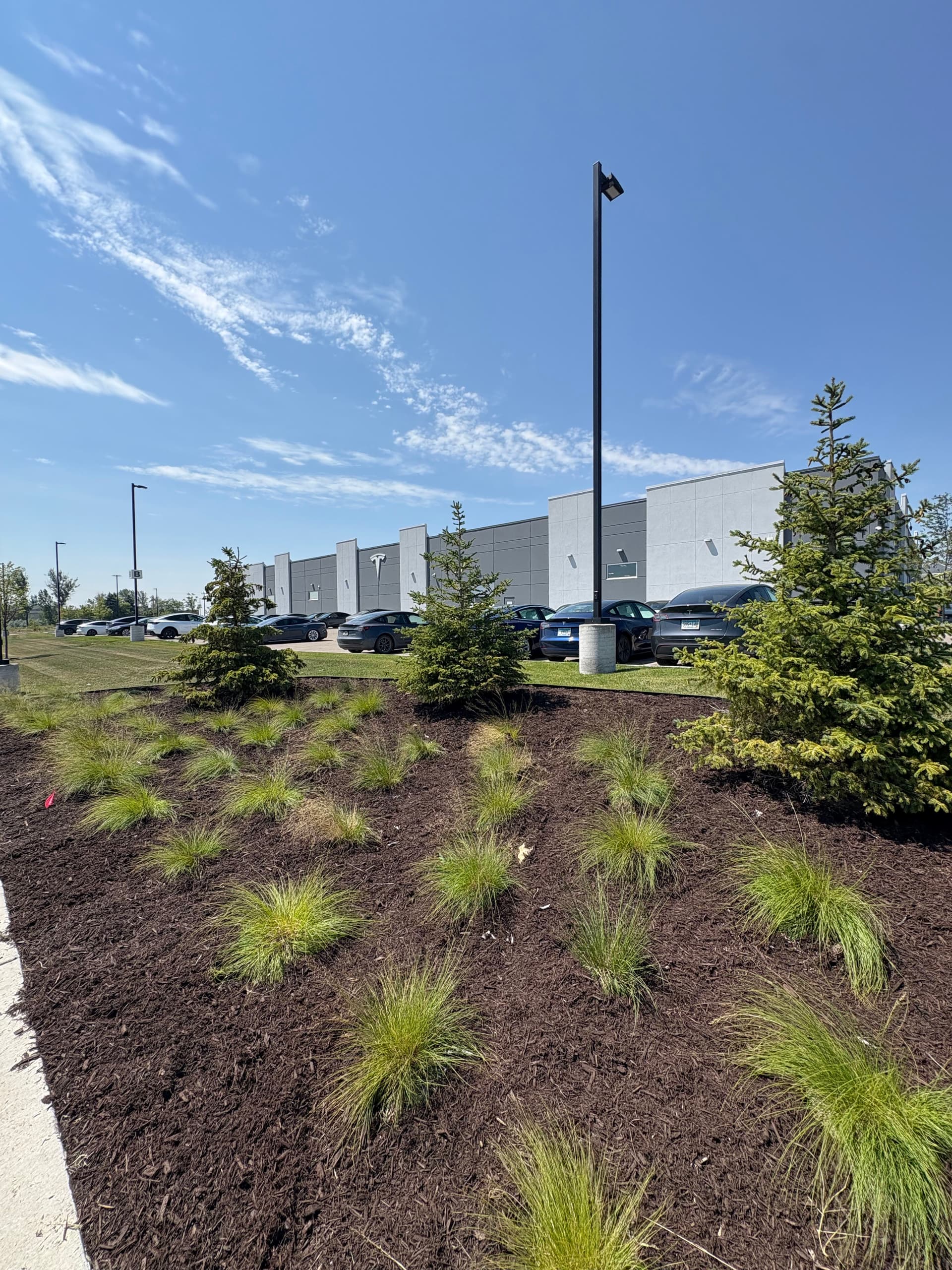Gallery photos for Commercial Landscaping Installation at Tesla in Lake Elmo: Image #5
