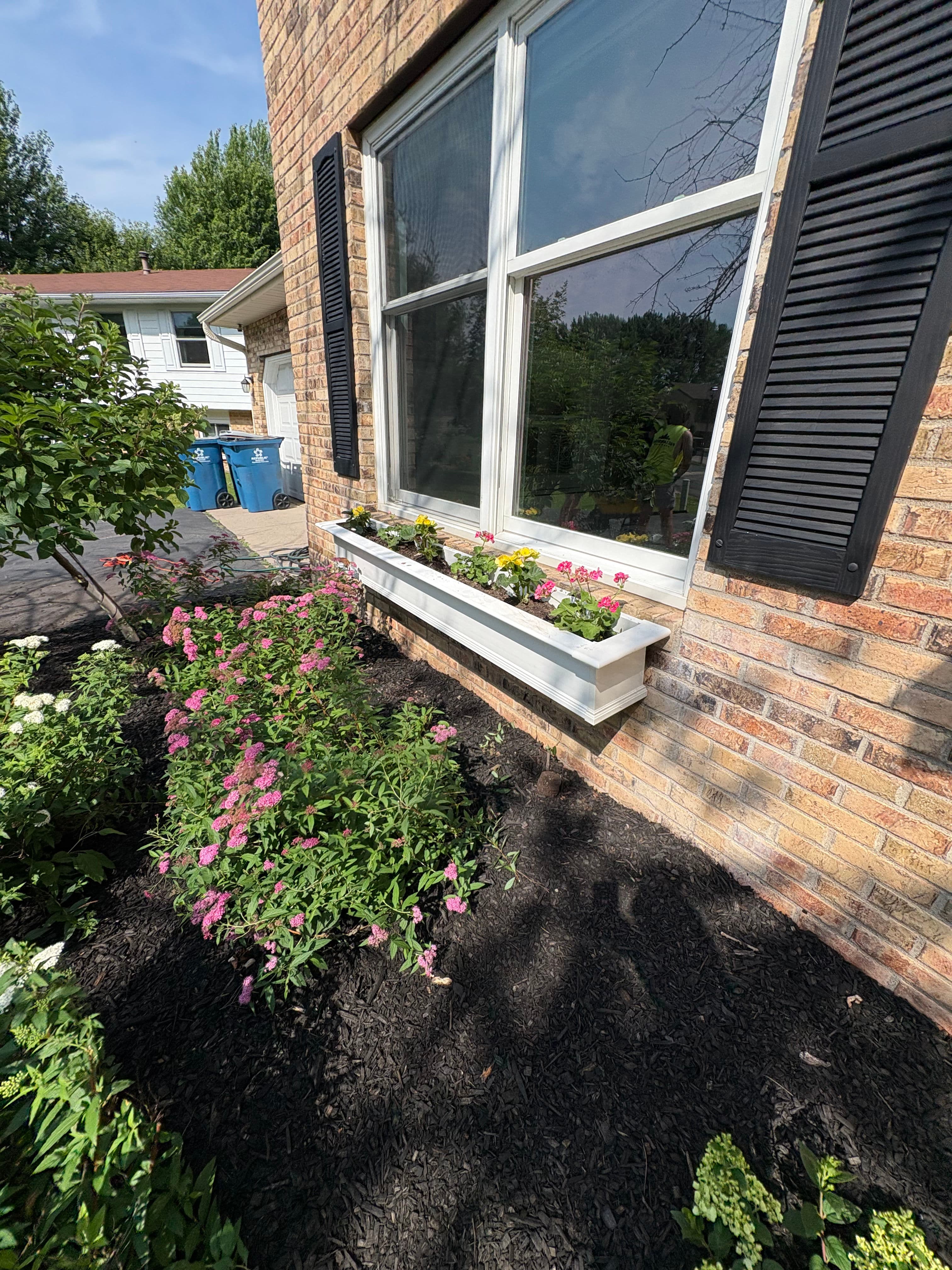 Project Fresh Mulch and New Plantings That Actually Boost Curb Appeal image