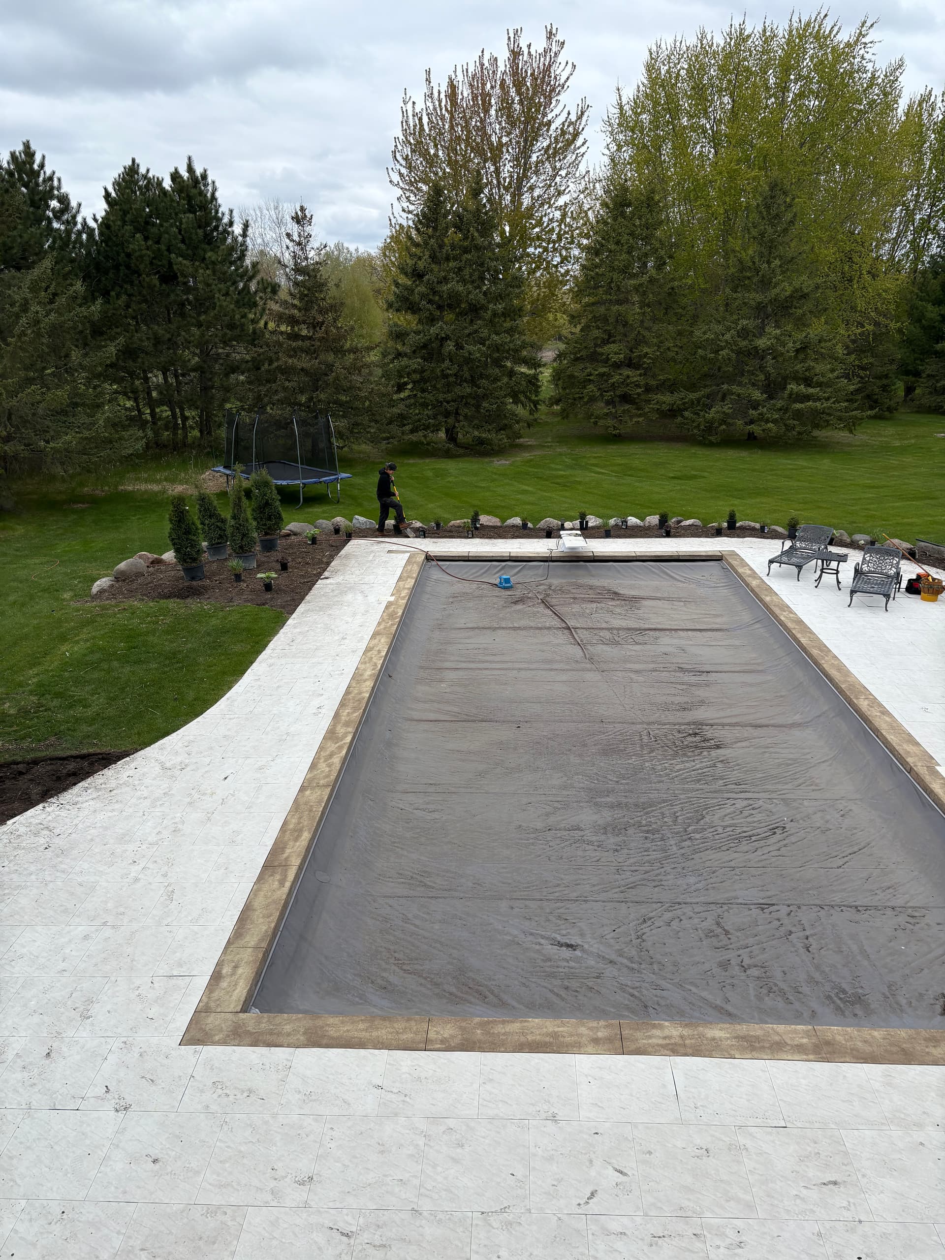 Gallery photos for Pool Area Landscape Redesign with New Plantings and Black Mulch: Image #6