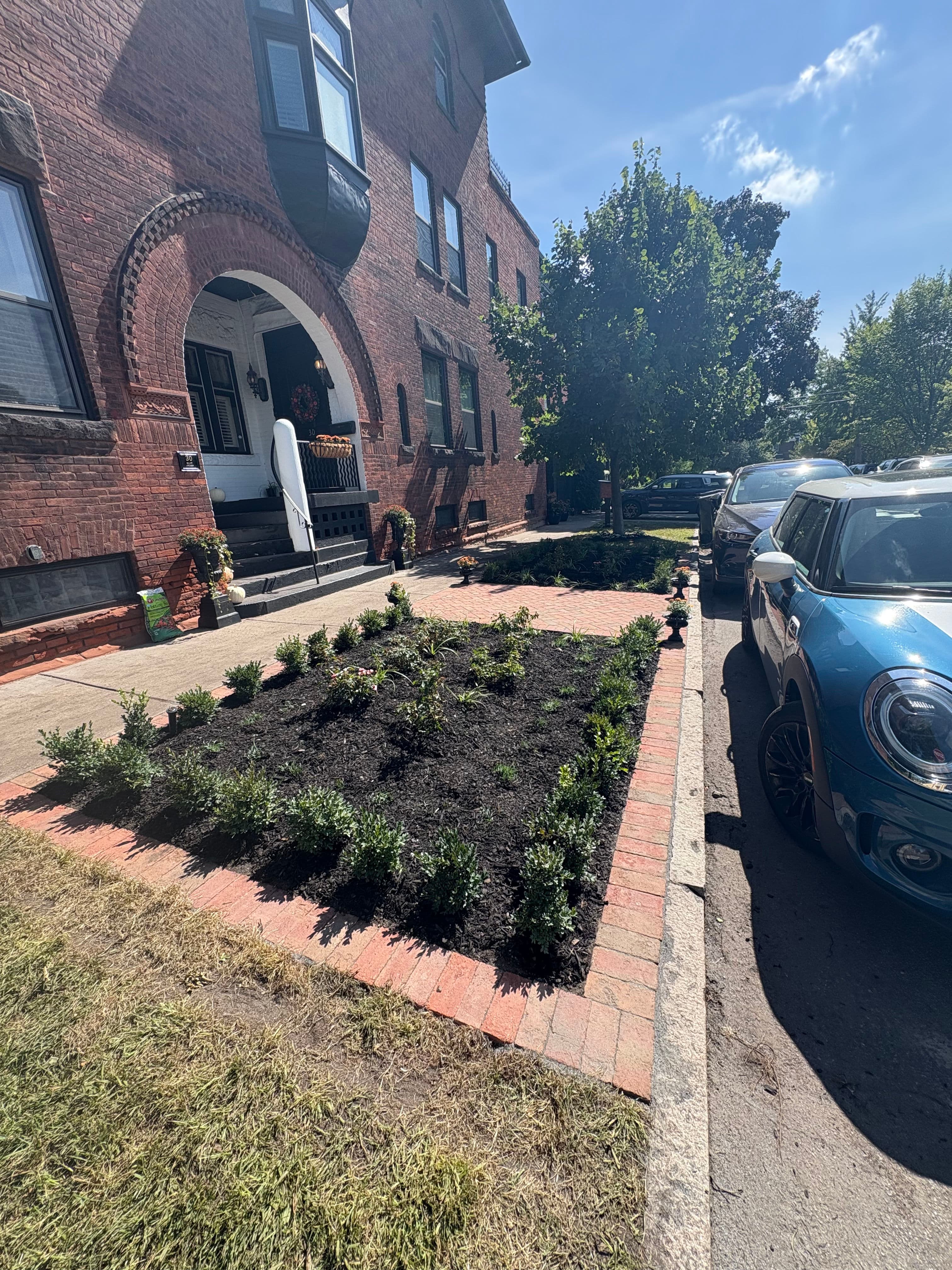 Project Brick Herringbone Walkway and Full Front Yard Landscape Upgrade image