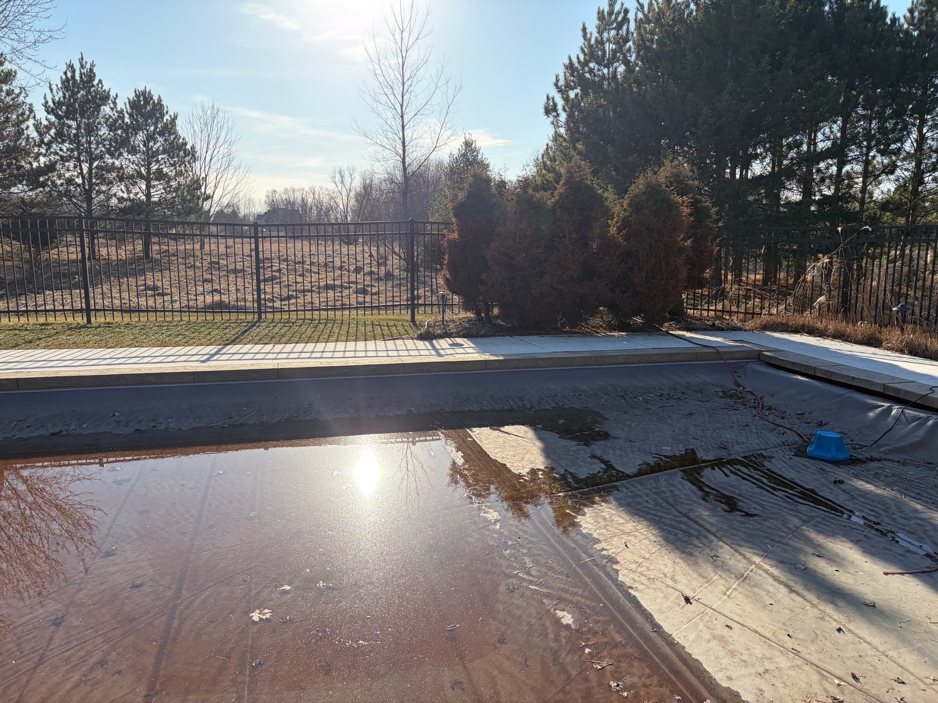 Pool Area Landscape Redesign with New Plantings and Black Mulch image
