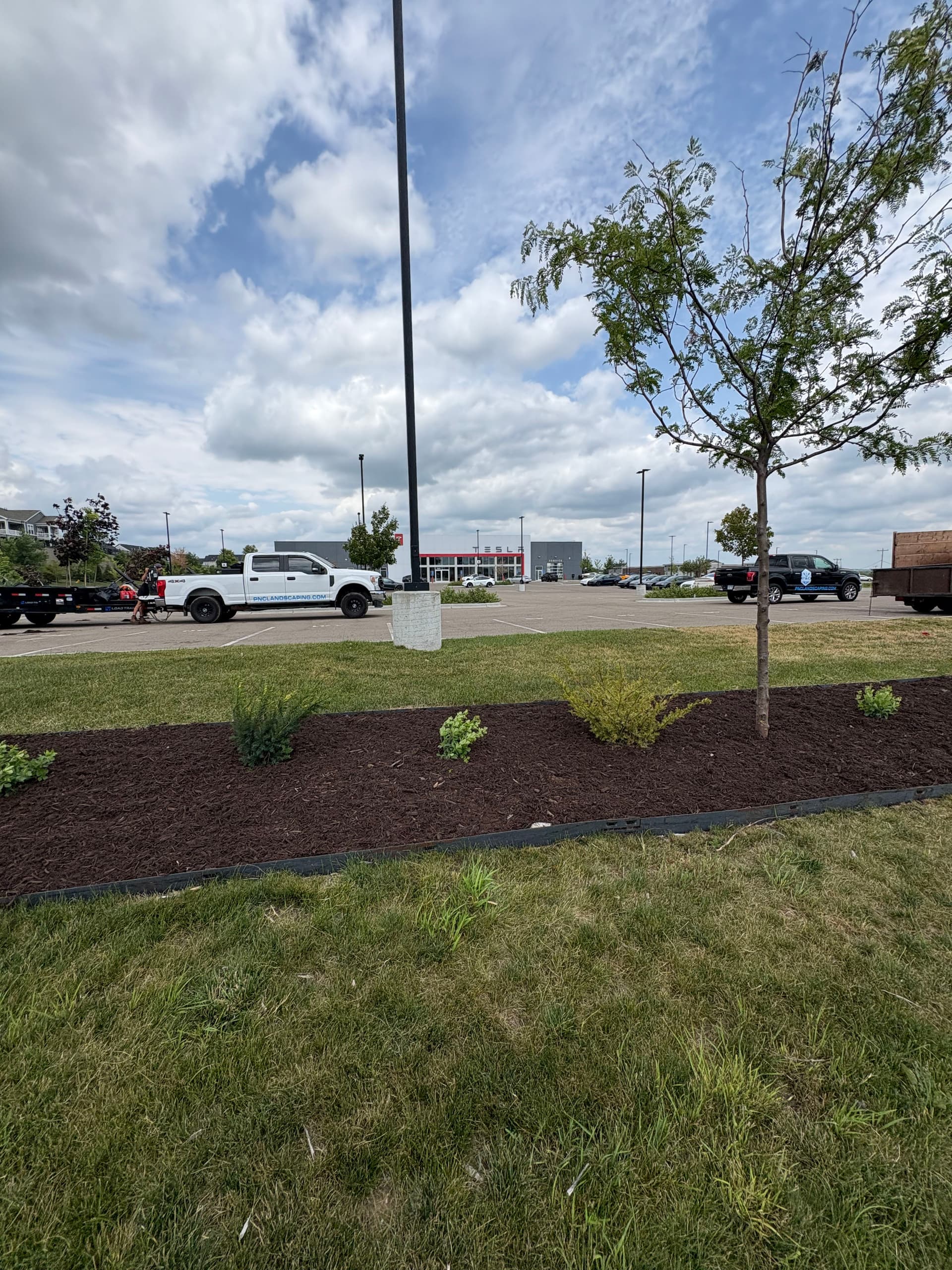 Gallery photos for Commercial Landscaping Installation at Tesla in Lake Elmo: Image #3
