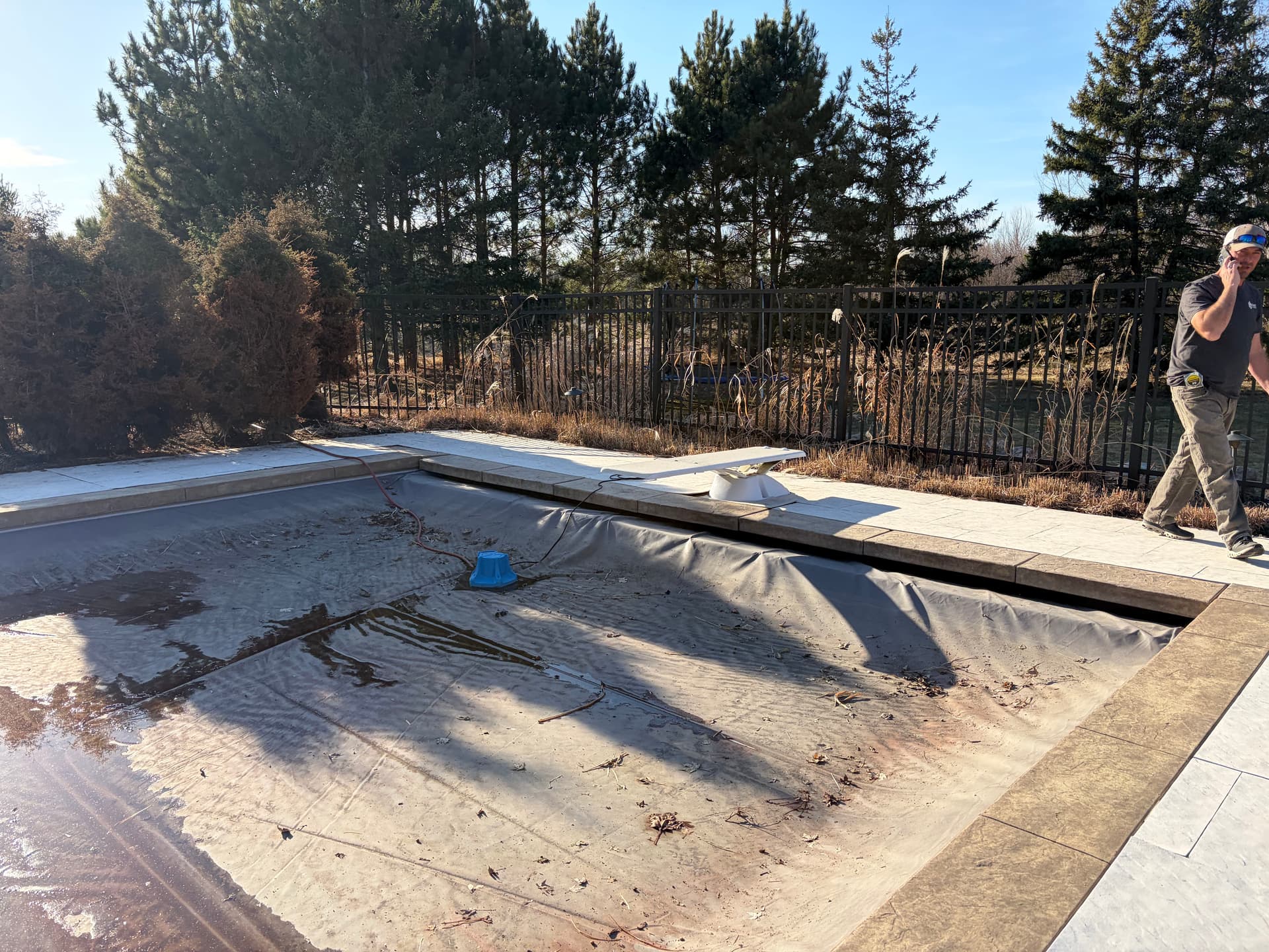 Gallery photos for Pool Area Landscape Redesign with New Plantings and Black Mulch: Image #1