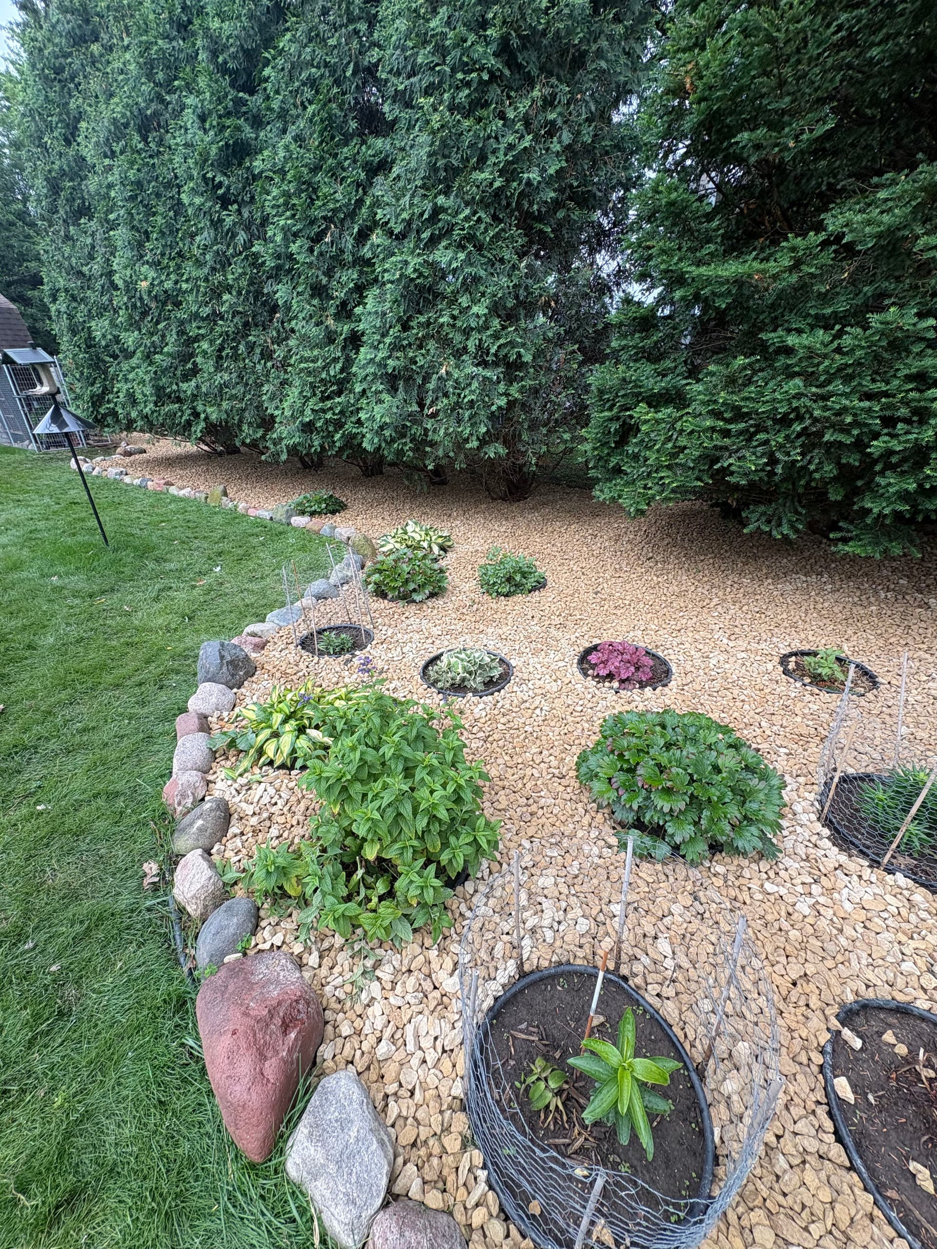 Gallery photos for Fresh Stone and New Shrubs That Actually Make Maintenance Easier: Image #4