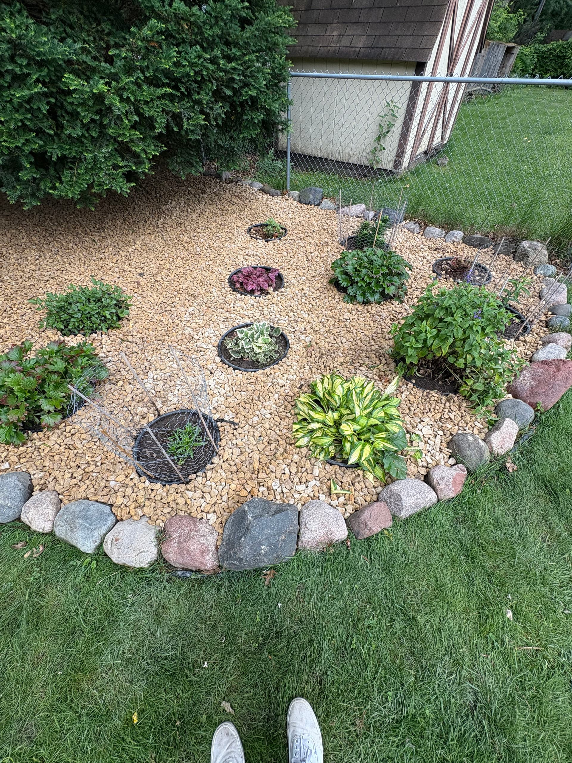 Gallery photos for Fresh Stone and New Shrubs That Actually Make Maintenance Easier: Image #3