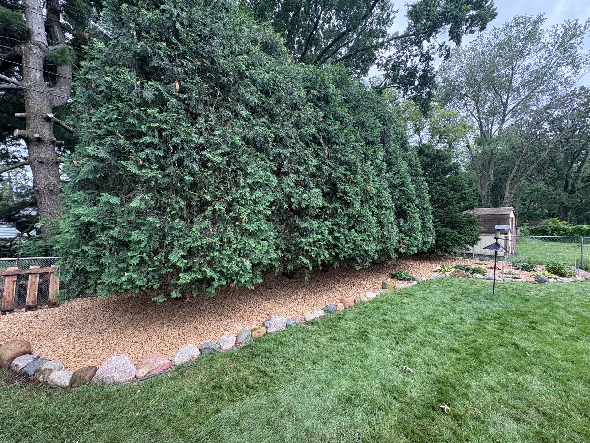 Gallery photos for Fresh Stone and New Shrubs That Actually Make Maintenance Easier: Image #5
